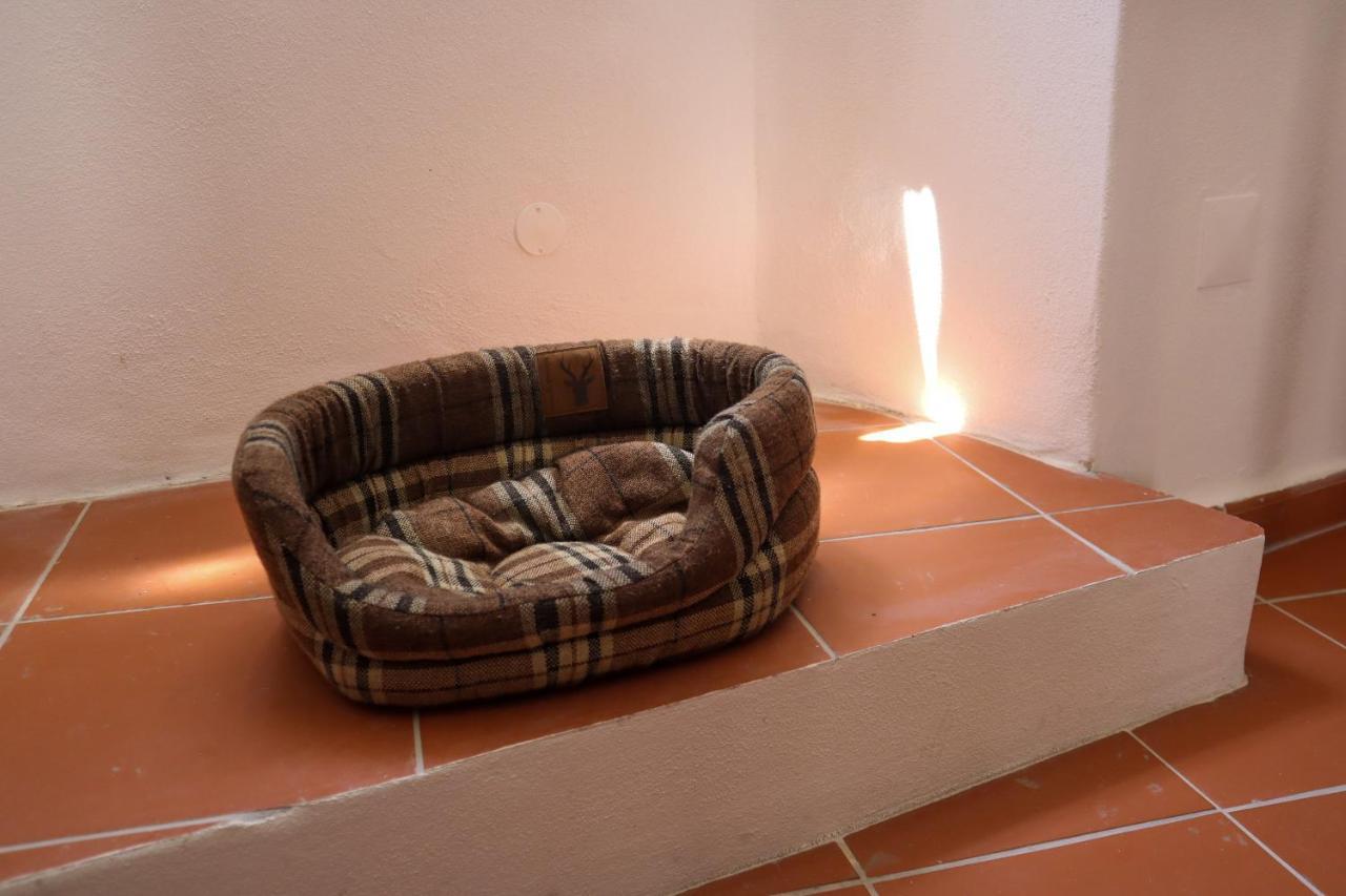 Ti8-Travessa Das Invernas 8 Évora Exterior foto